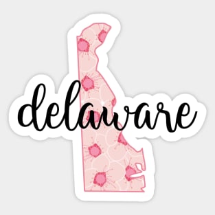 delaware Sticker